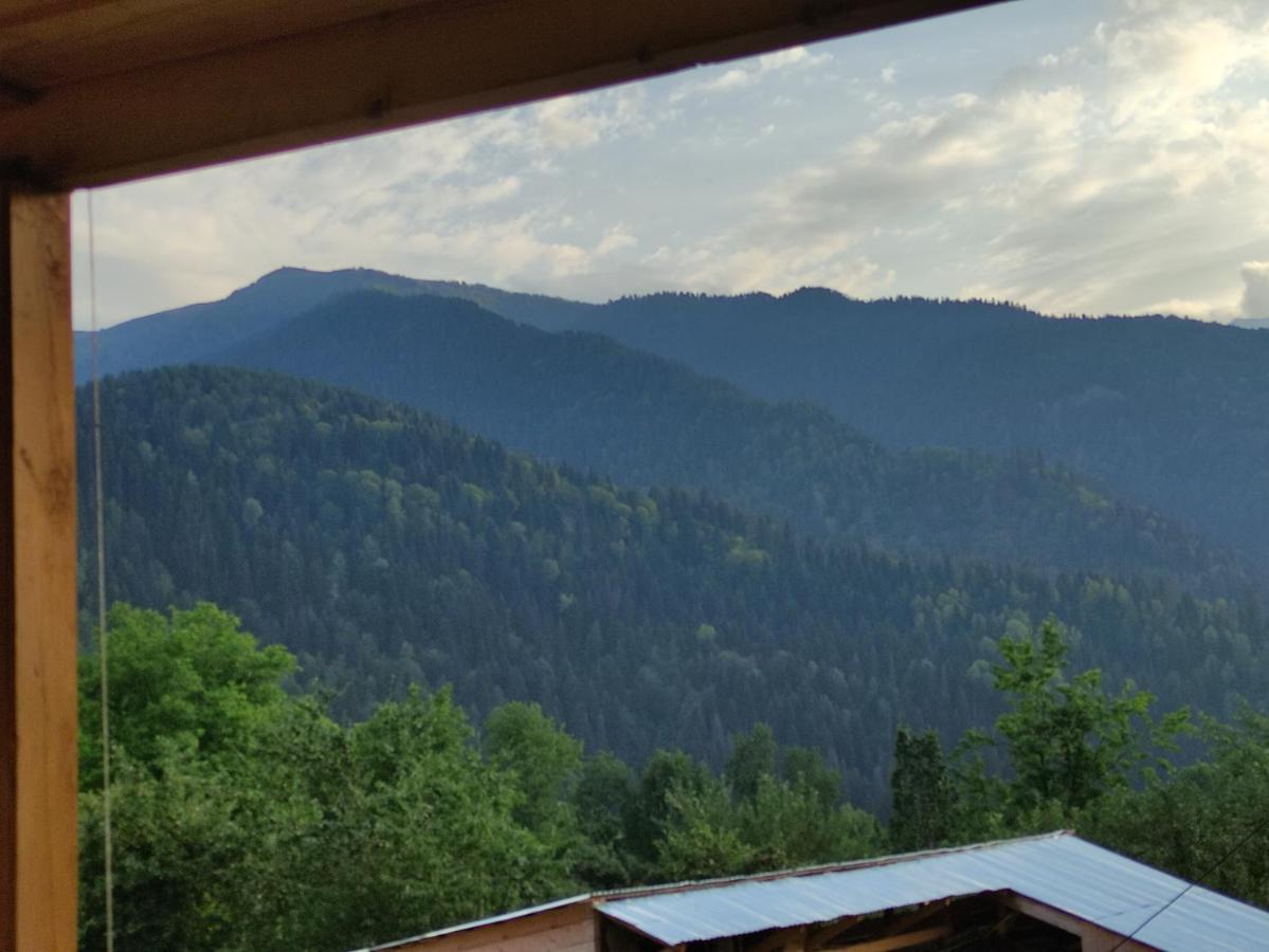 Ecohouse Svaneti Mestia Bagian luar foto
