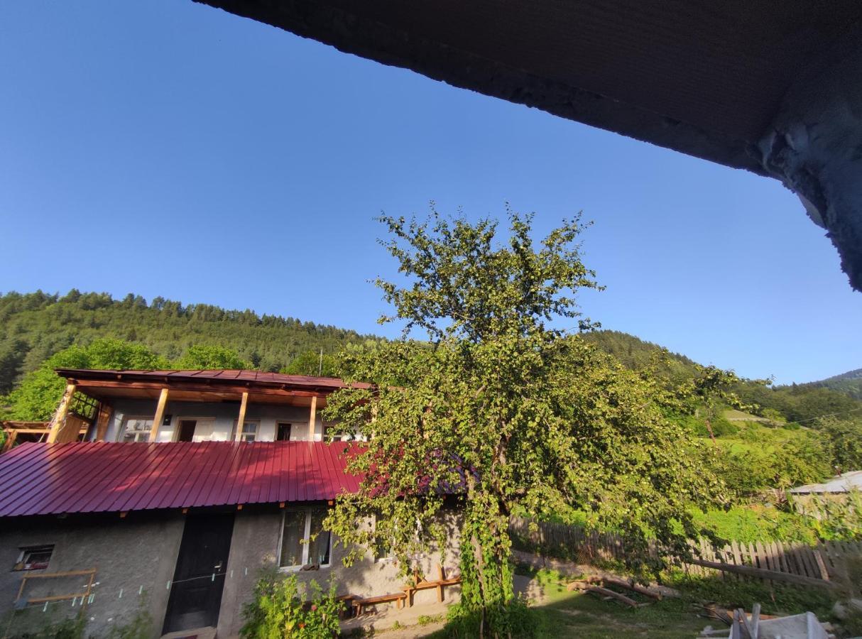 Ecohouse Svaneti Mestia Bagian luar foto