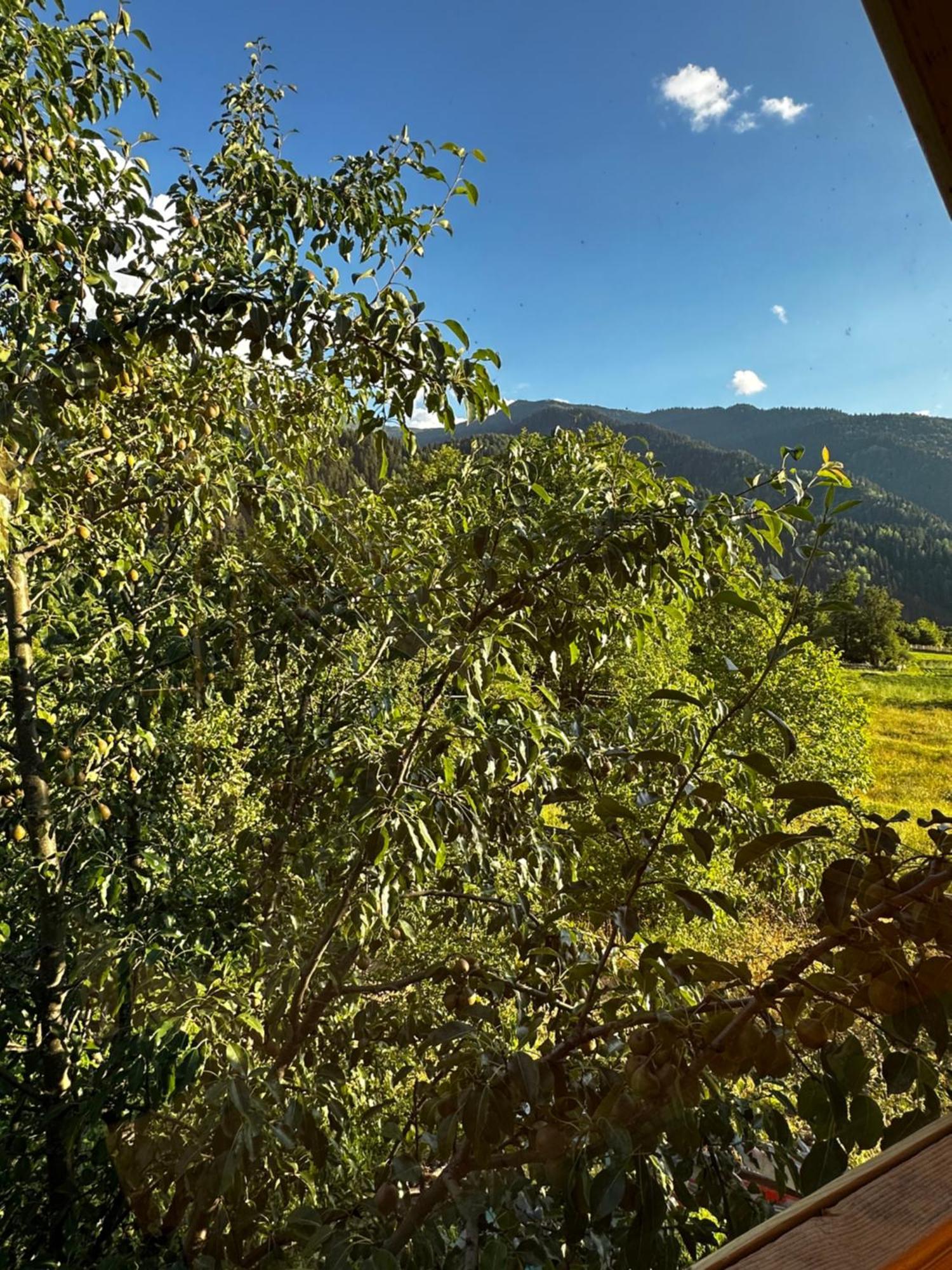 Ecohouse Svaneti Mestia Bagian luar foto