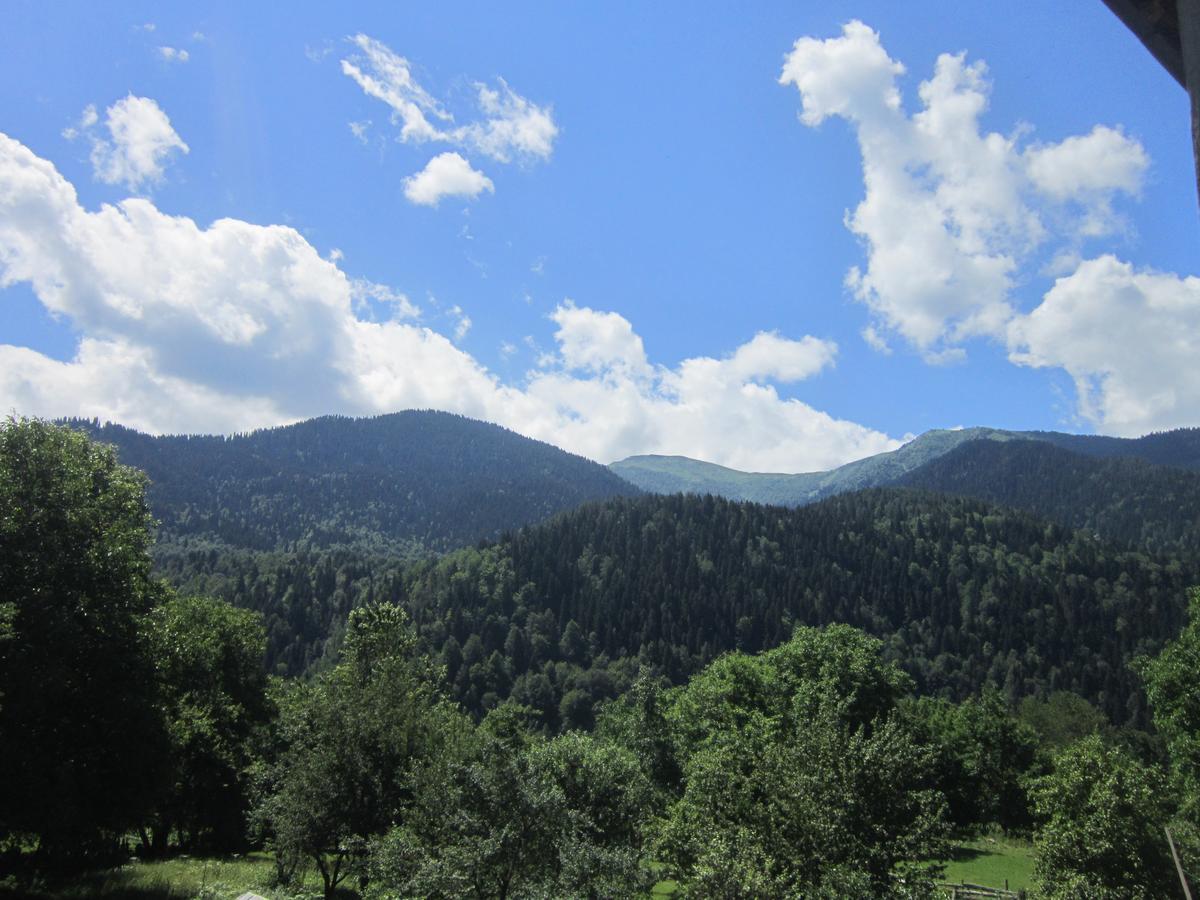 Ecohouse Svaneti Mestia Bagian luar foto