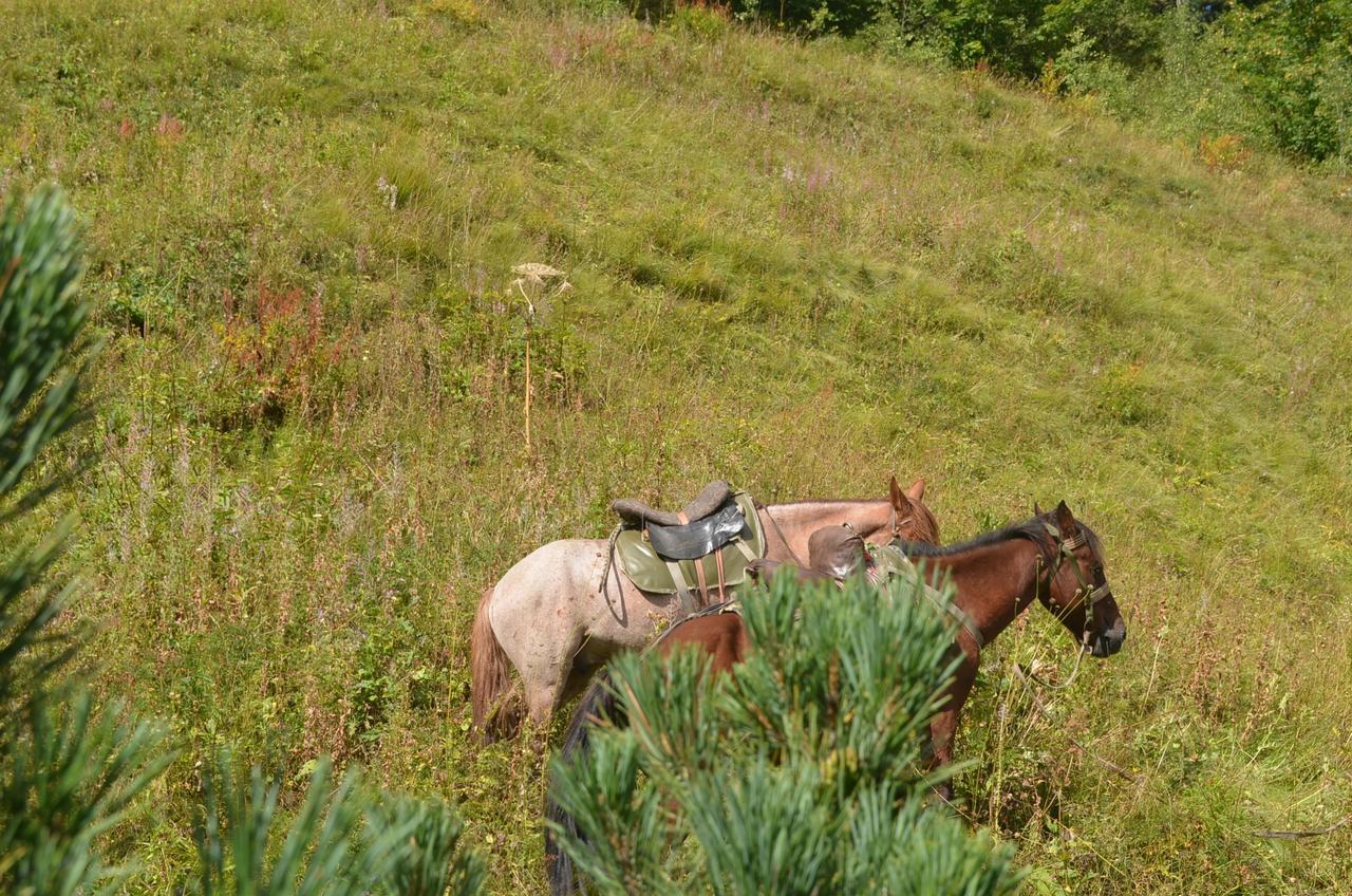 Ecohouse Svaneti Mestia Bagian luar foto