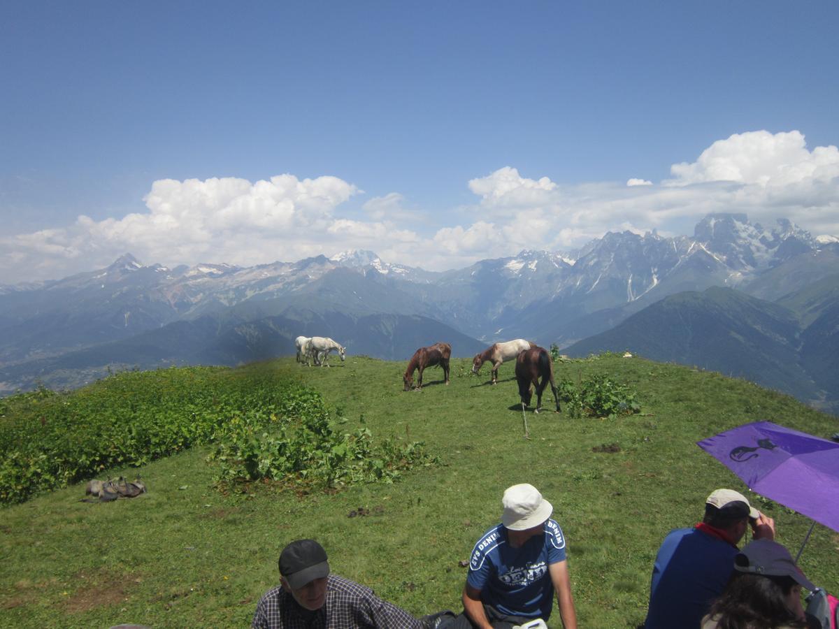 Ecohouse Svaneti Mestia Bagian luar foto