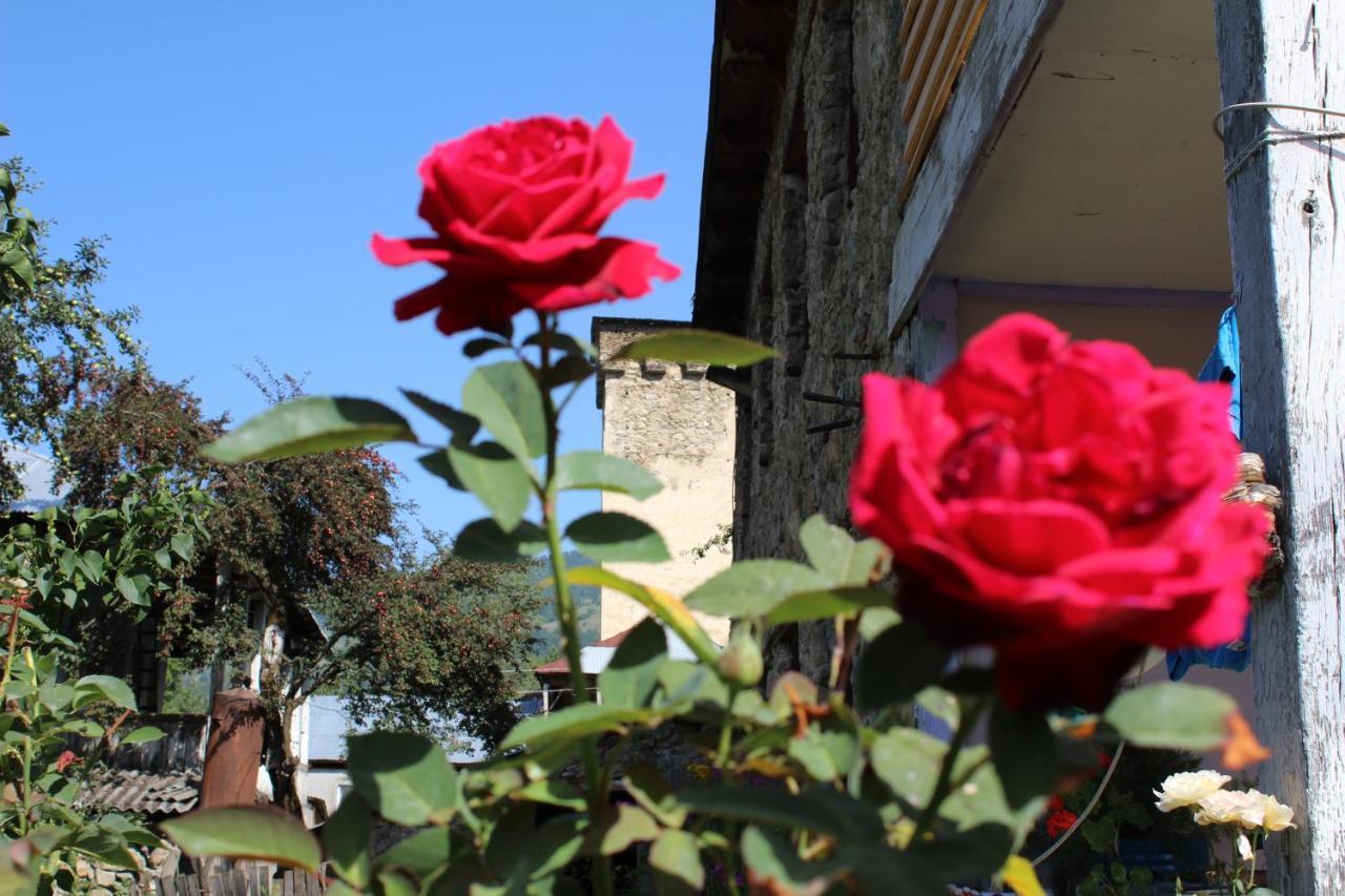 Ecohouse Svaneti Mestia Bagian luar foto