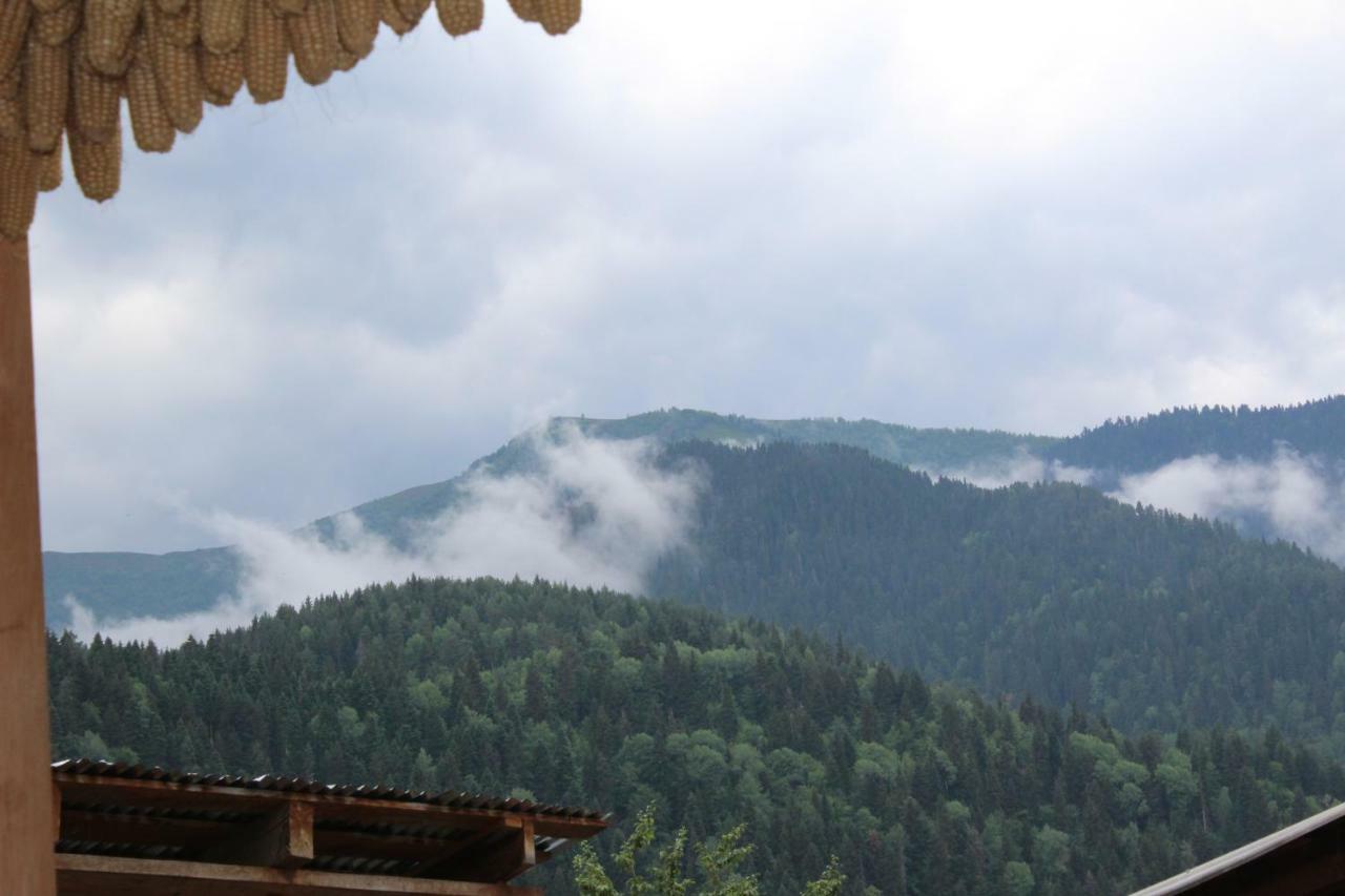 Ecohouse Svaneti Mestia Bagian luar foto